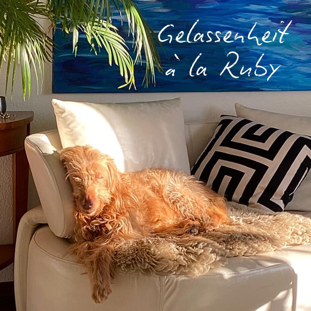 Mehr über den Artikel erfahren Gelassenheit á la Ruby!