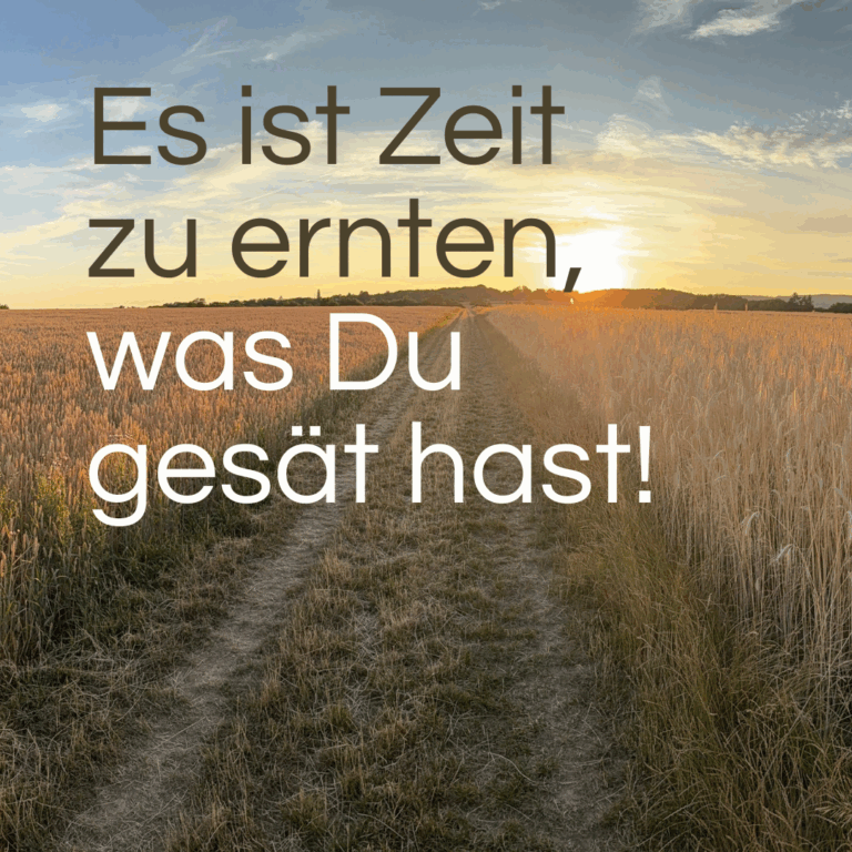 Mehr über den Artikel erfahren 𝗘𝘀 𝗶𝘀𝘁 𝗭𝗲𝗶𝘁 𝘇𝘂 𝗲𝗿𝗻𝘁𝗲𝗻, 𝘄𝗮𝘀 𝗱𝘂 𝗴𝗲𝘀ä𝘁 𝗵𝗮𝘀𝘁